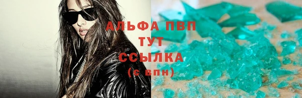 PSILOCYBIN Тутаев