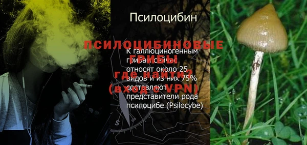 герыч Тында