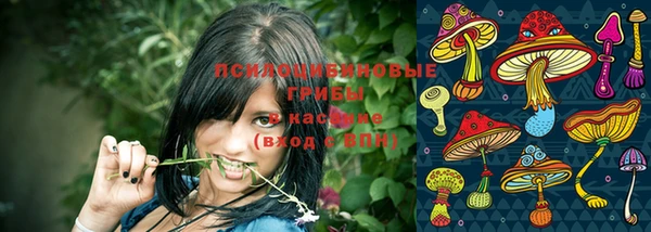 PSILOCYBIN Тутаев