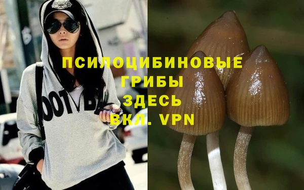 бошки Сясьстрой