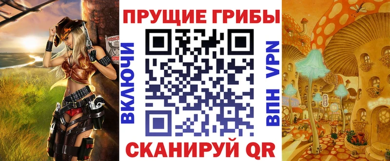 Галлюциногенные грибы Psilocybe  Купить  Краснодар 